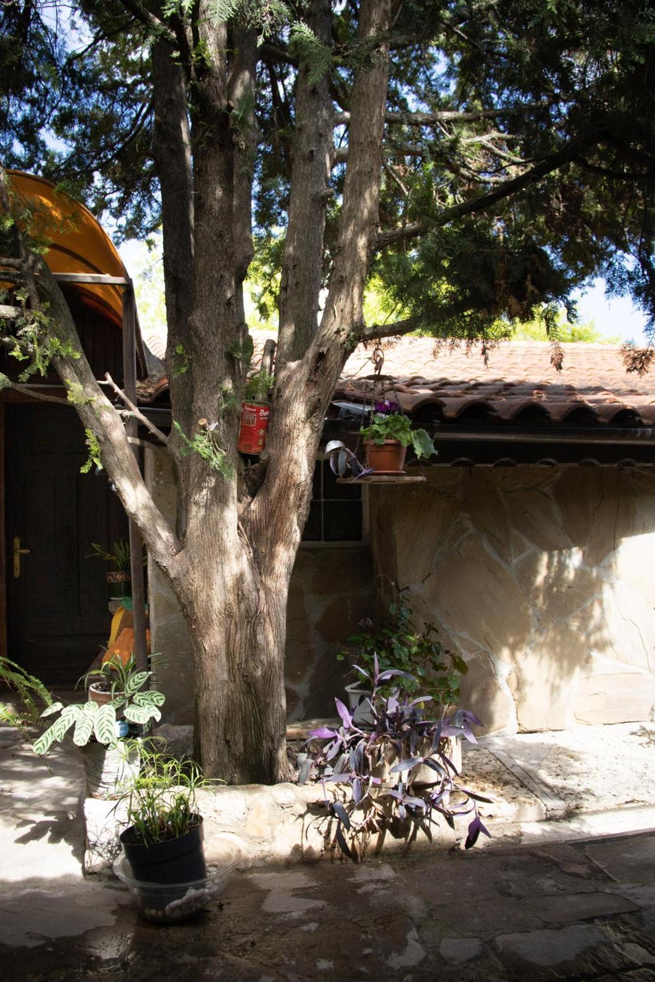 Старата Баkалия The Old Grocery, Guest Rooms Baltschik Exterior foto